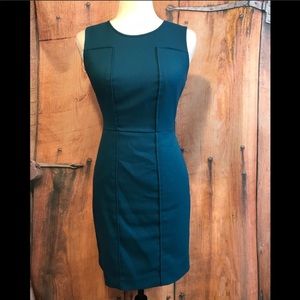 Banana Republic Sheath 2P